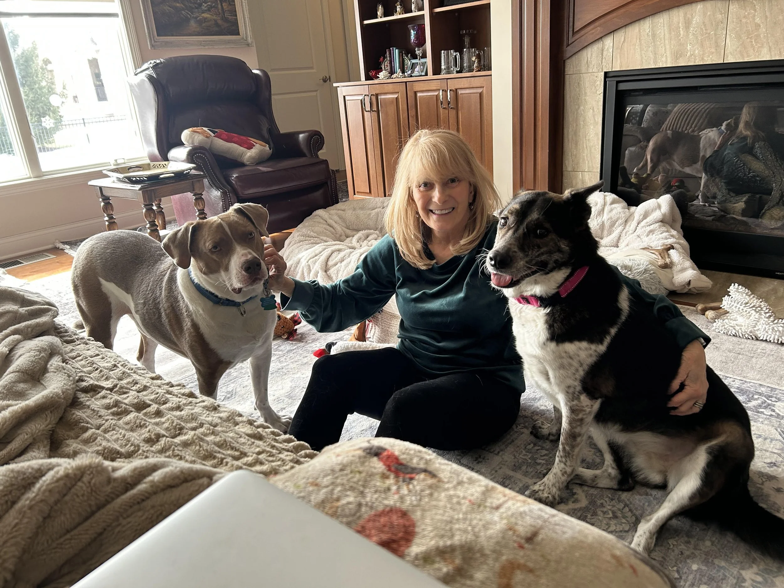 A woman sitting on the floor with two dogs inside a living room, near a fireplace and a wooden cabinet, with sunlight coming through a window.