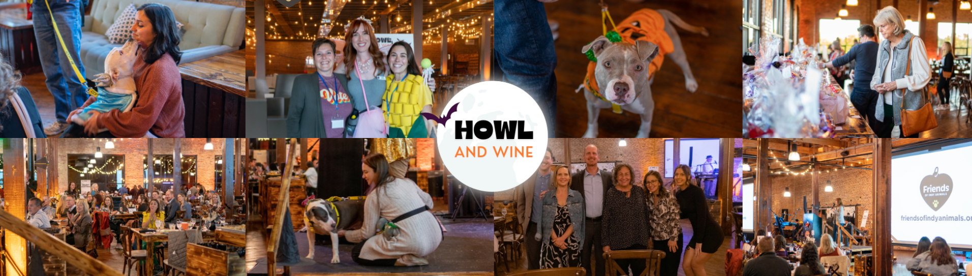 Collage of photos from an indoor event featuring people, dogs, and a presentation with a large screen. Some people are mingling, browsing goods, and posing for pictures, with festive lighting and decorations.