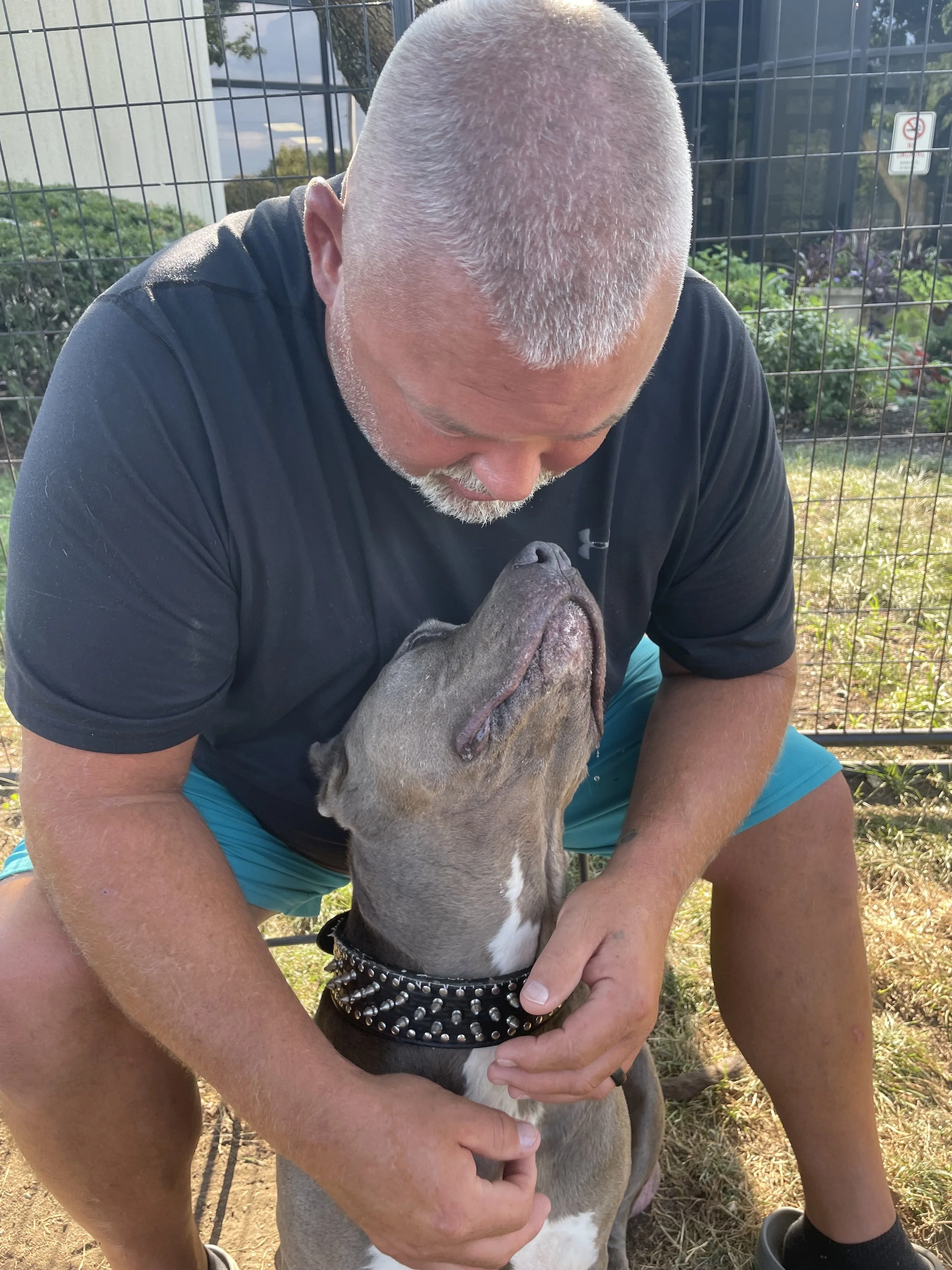 A man with a shaved head and gray facial hair is holding and cuddling a pitbull dog. The man is sitting outdoors near a black metal fence, with greenery and buildings in the background.