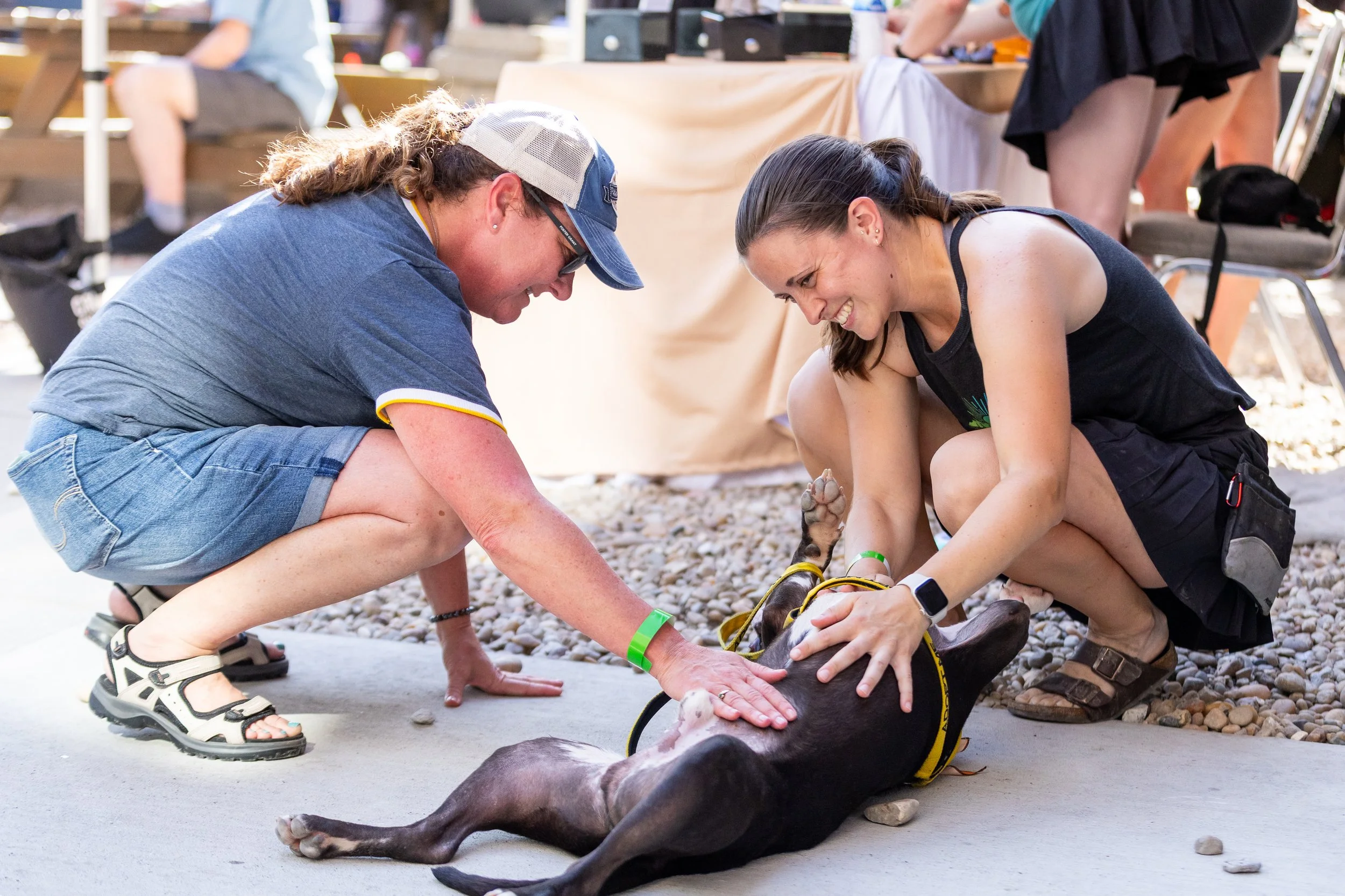 Two women are attending to a large black dog lying on its back on a concrete surface. One woman is kneeling while the other is crouching, both touching and interacting with the dog. They are outdoors at what appears to be a pet event or adoption fair, with other people and tables in the background.