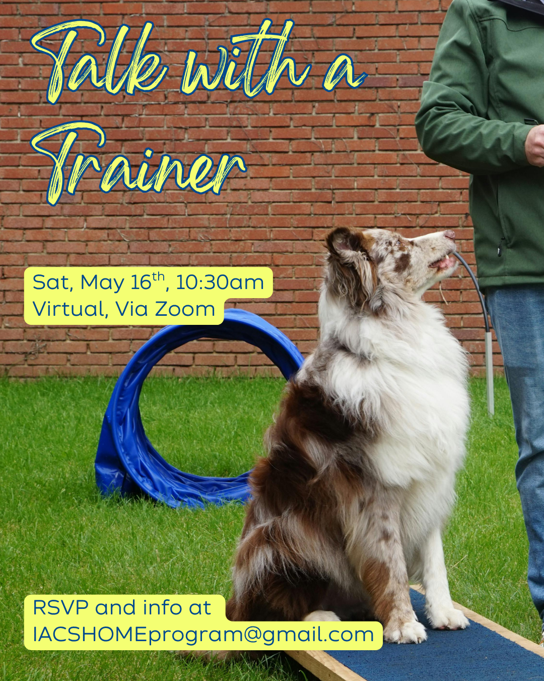 Talk with a Trainer