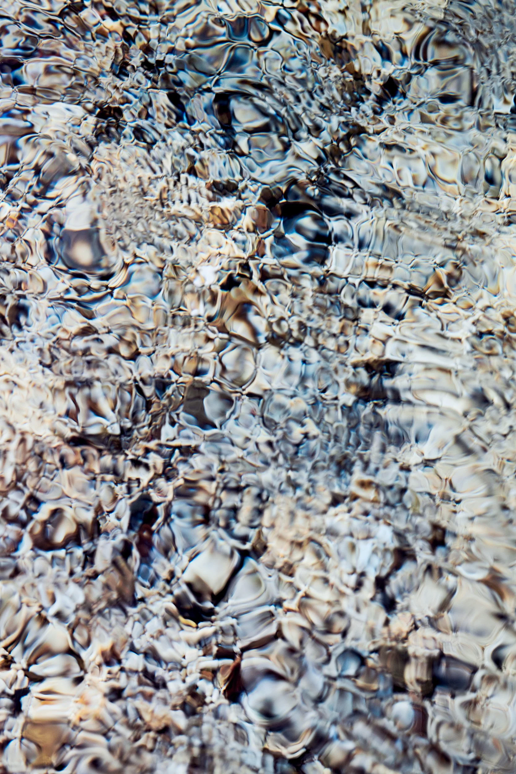 ga_004.jpg
