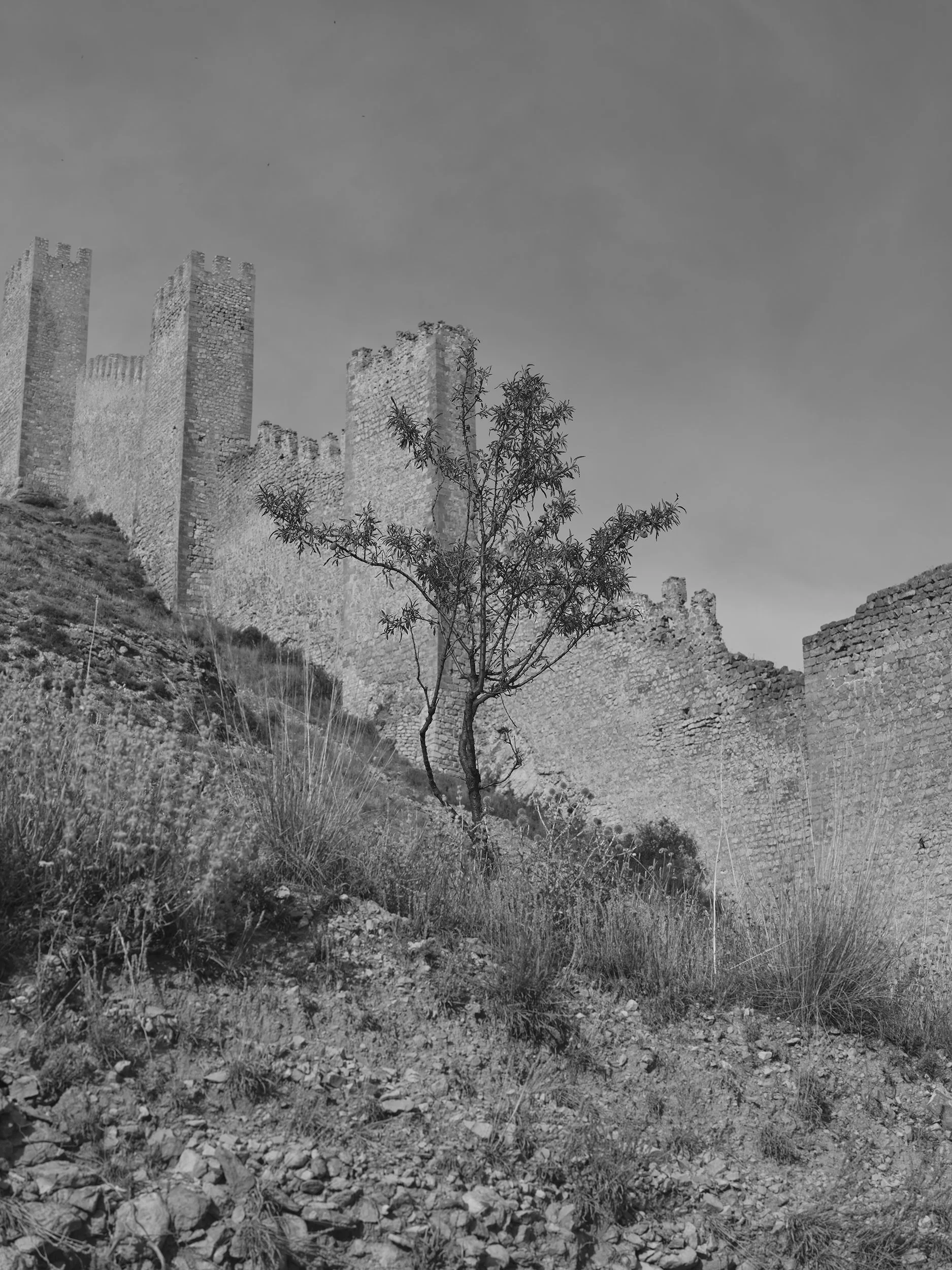 005.Albaracin.jpg