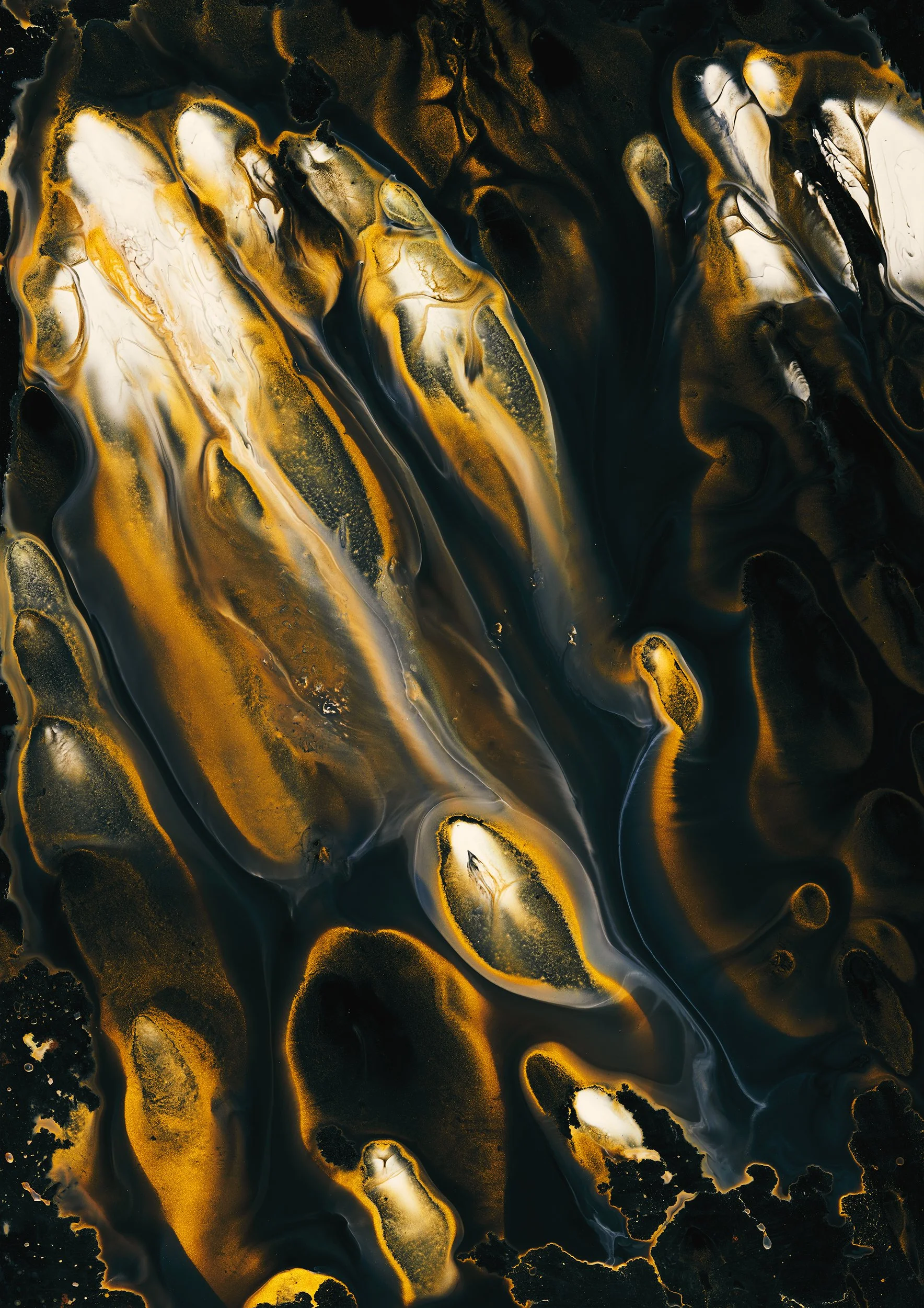 006.liquid.jpg
