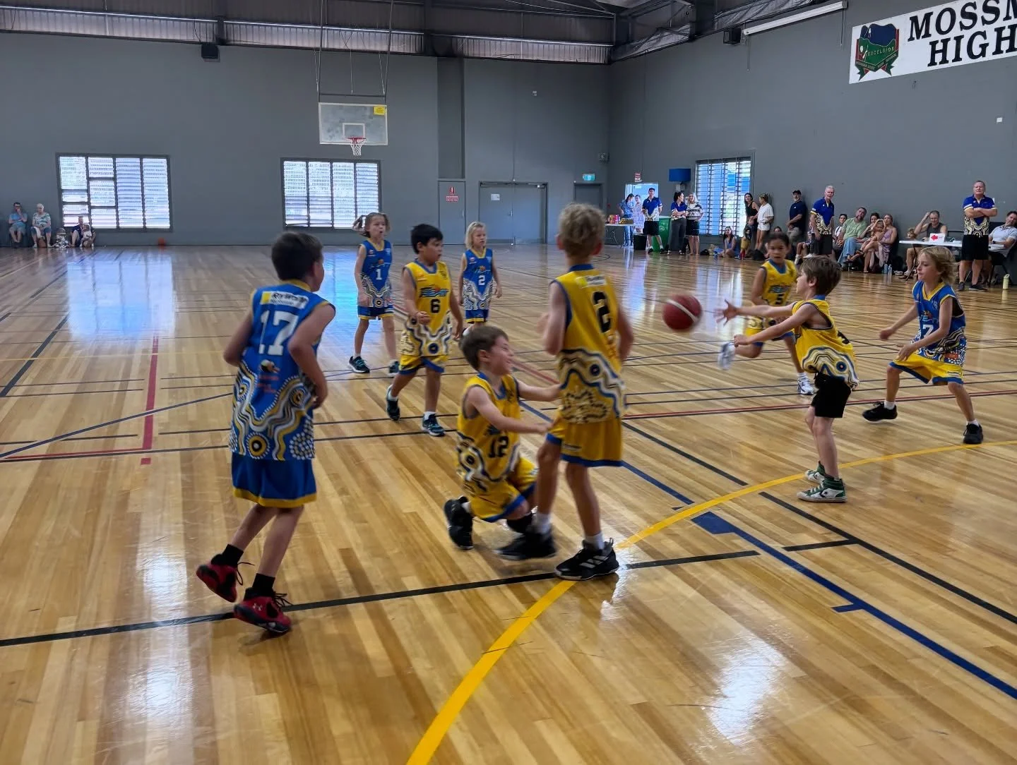 Aussie Hoopers group