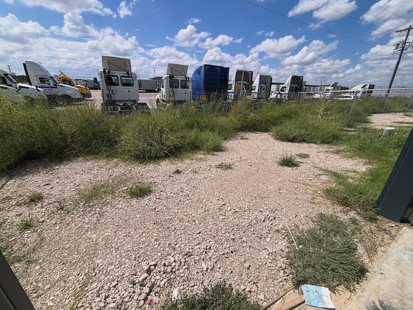 From garden to graveyard. The tiny backyard was overrun with weeds, so they had to go. Pulled them out one night (days were hot and humid back in August!) Now it's filled with our wrecked cars that are being parted out.