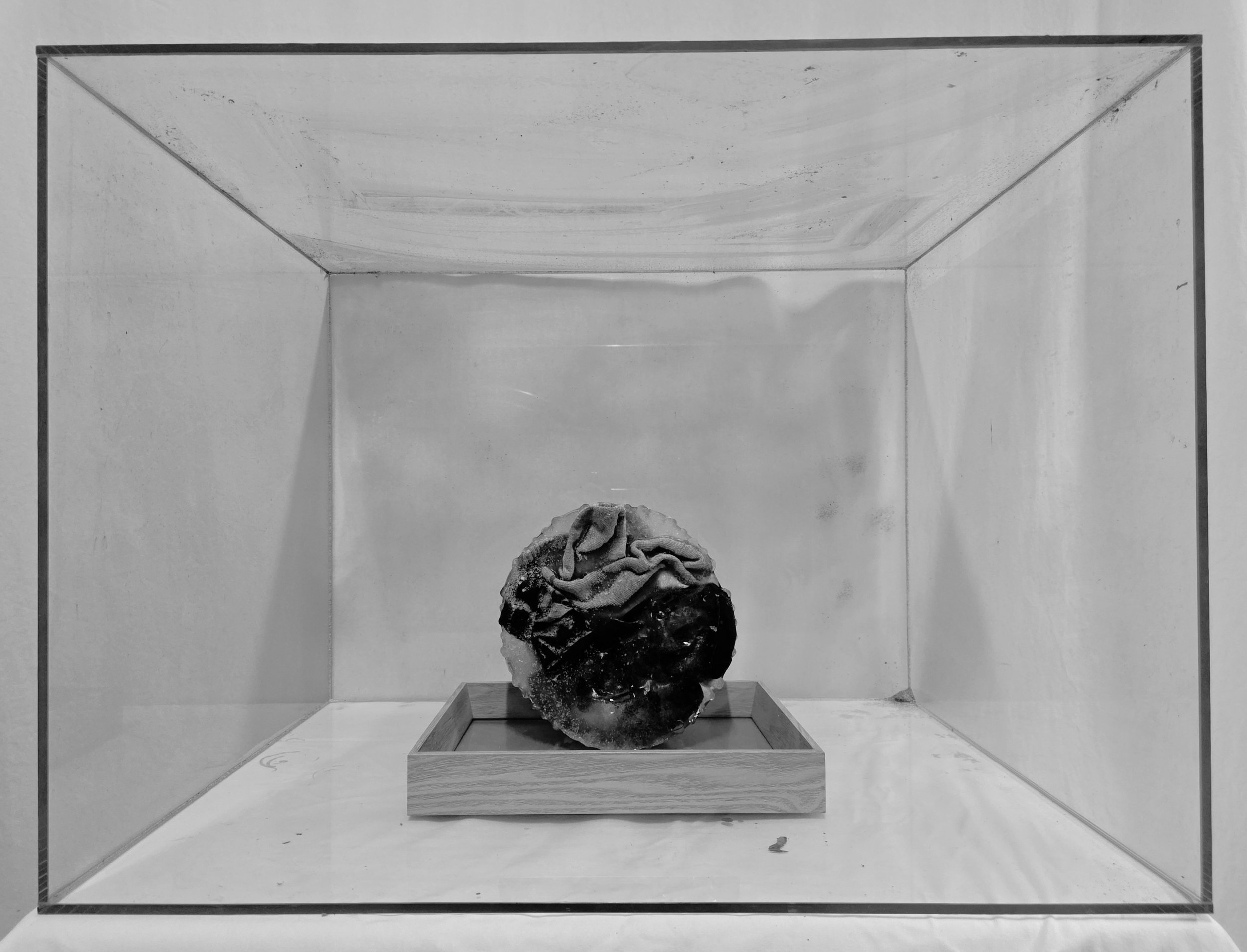 A single piece of abstract art resembling a crumpled cloth or organic form is displayed in a glass display case with a wooden base in a minimalist environment.