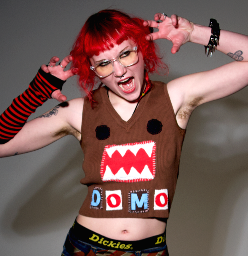 Domo sweater vest ˙Ⱉ˙