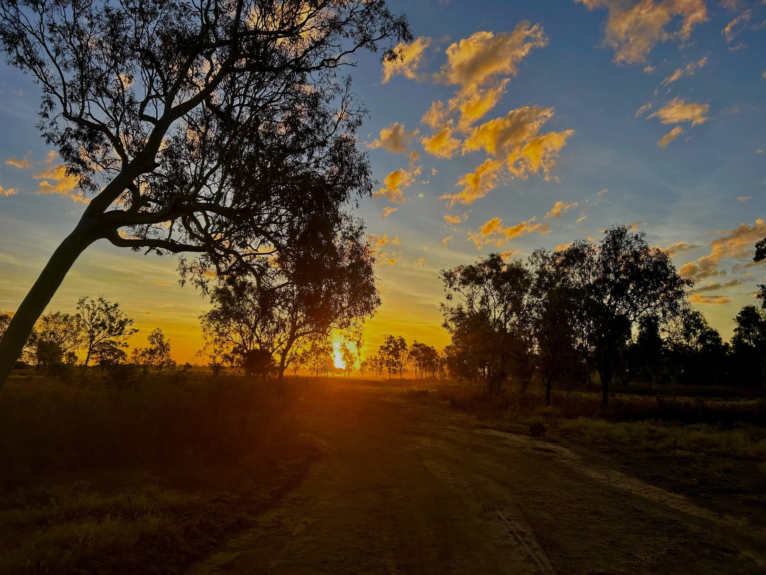 Delta Downs, Normanton