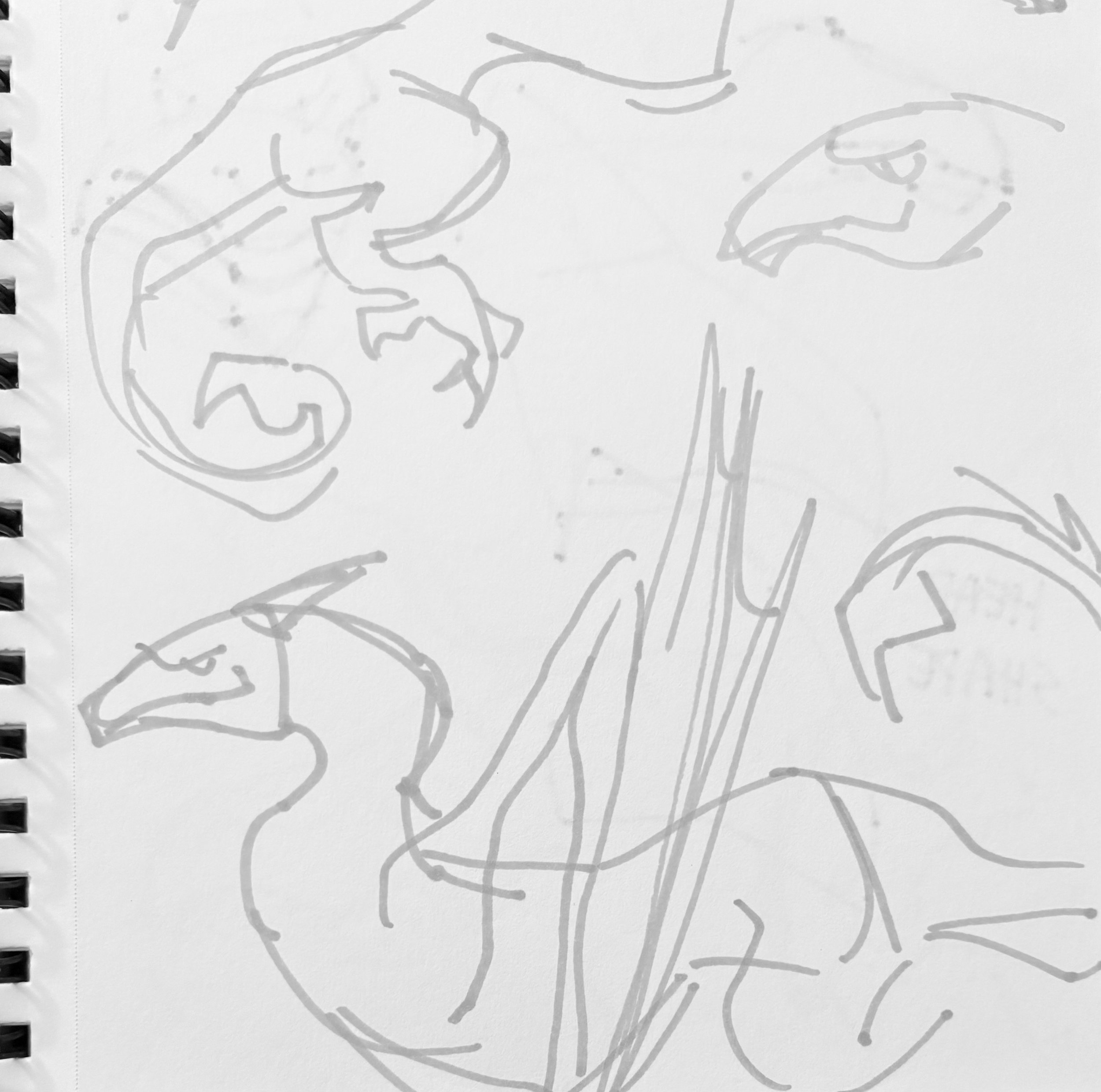 IMG_3363.jpeg