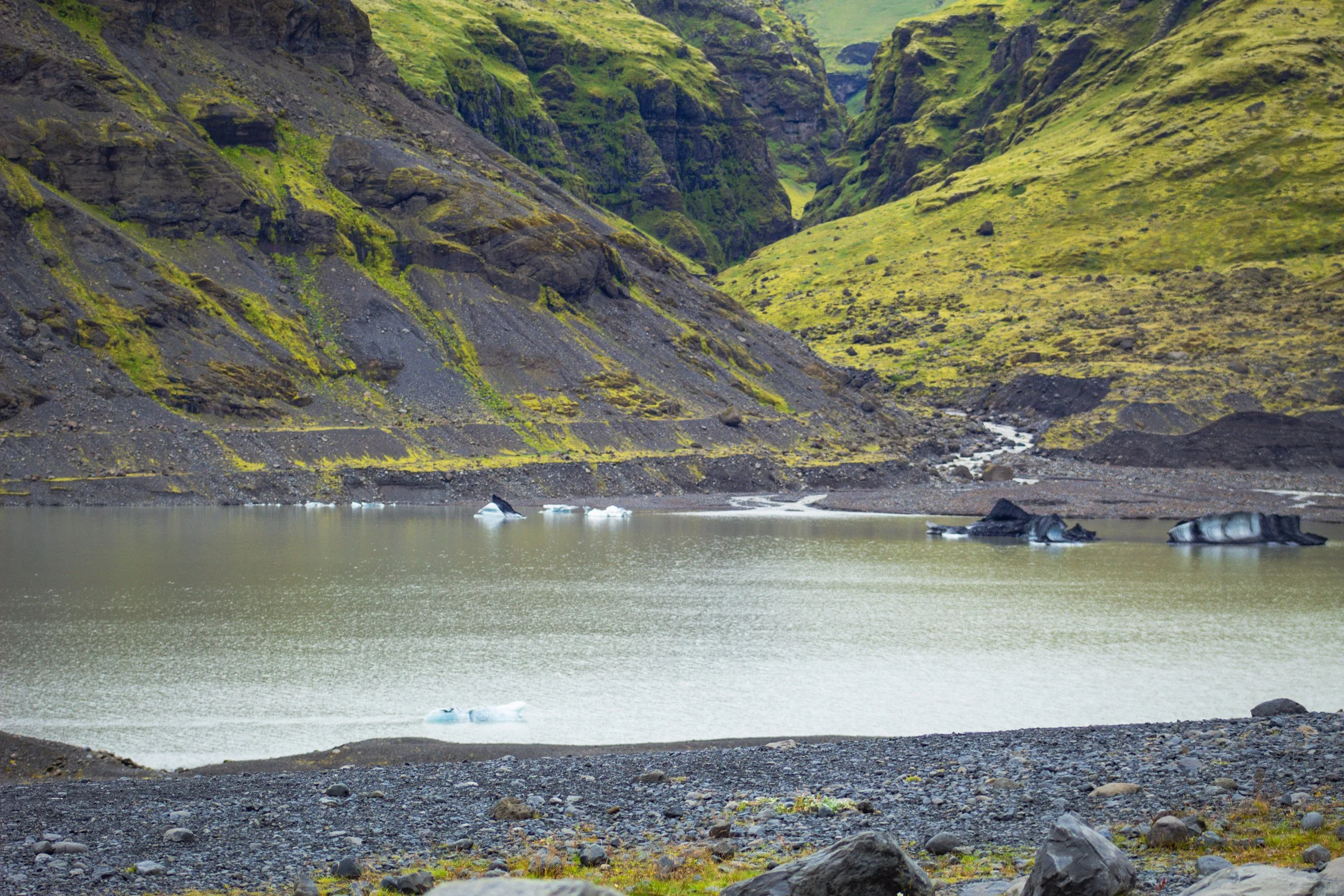 5-IMG_4075 - Copy.jpg