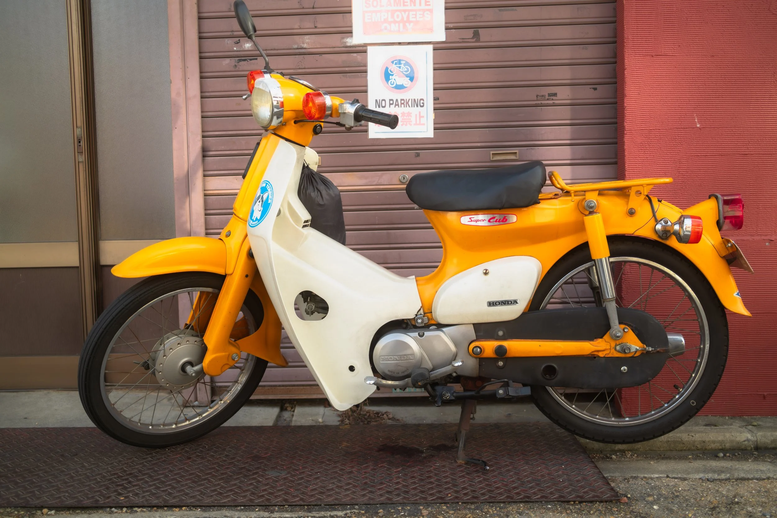 "Kyoto Cub"