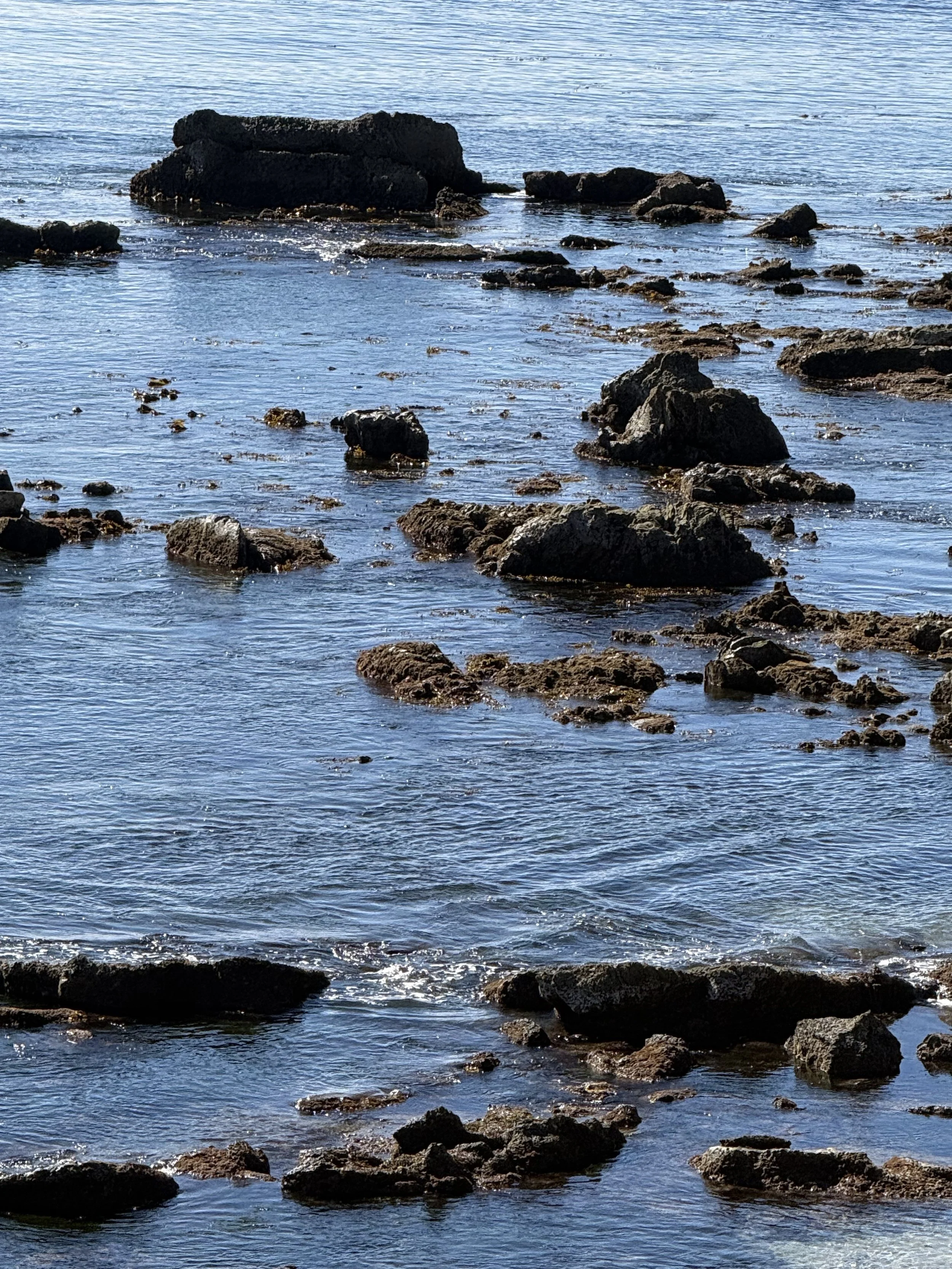 Rocks in the shallow part of a calm body of water, possibly a shoreline or riverbank, with reflections of sunlight.