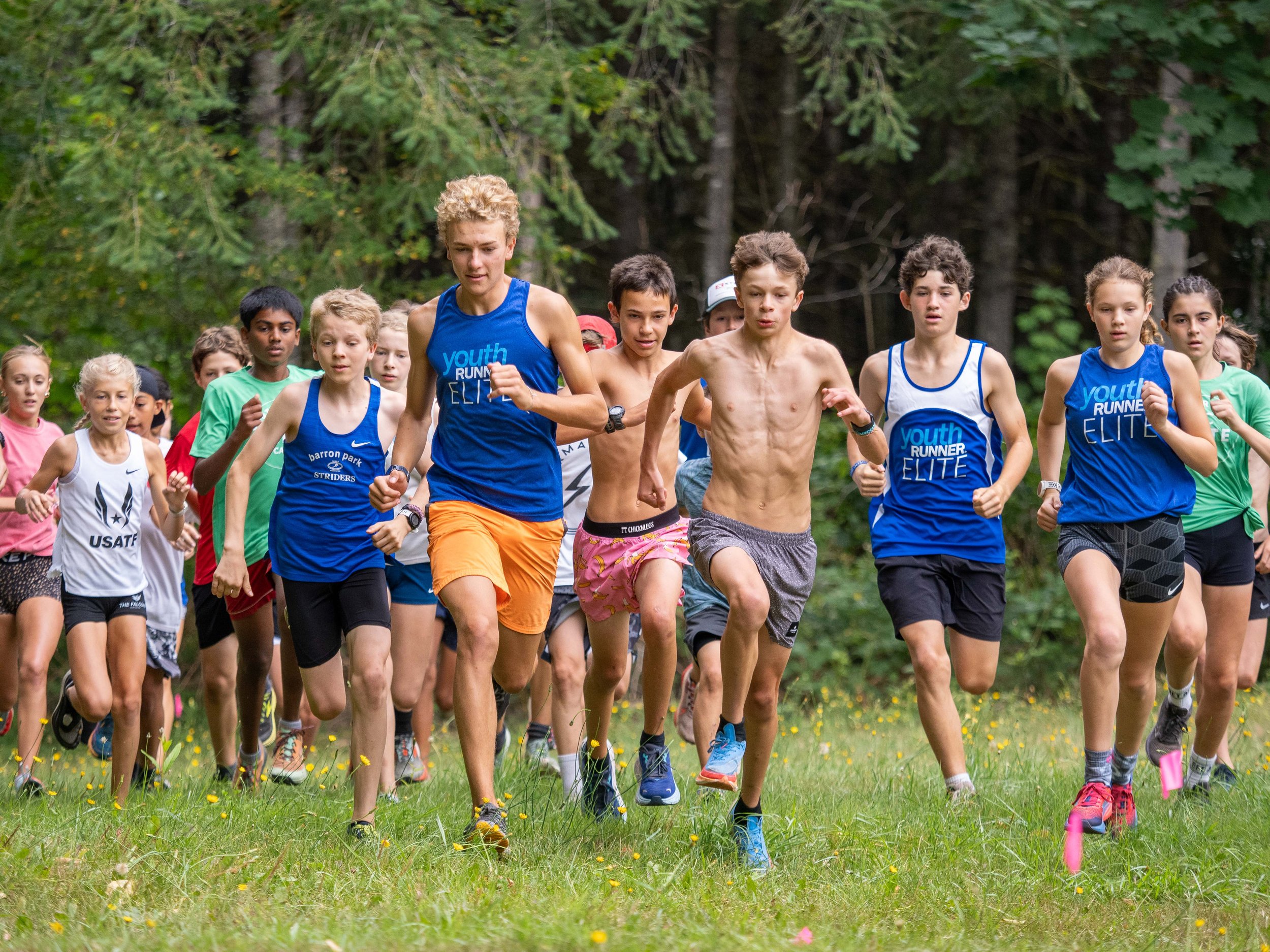 Young boys and girls running in a cross-country race outdoors in a green, wooded area. The Elite Middle School Camp at Youth Runner Camps