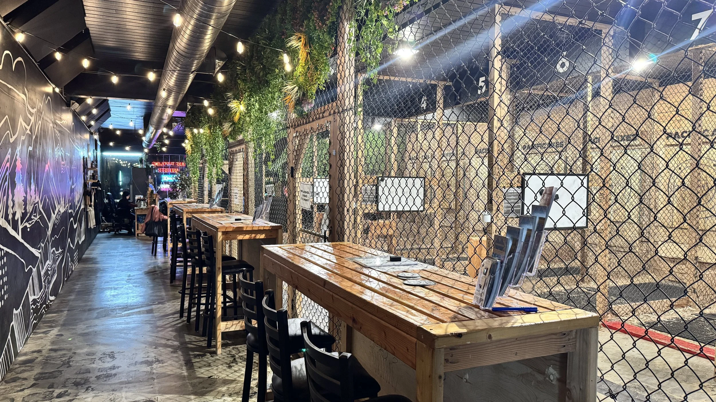 Indoor sports bar with wooden tables and black chairs, behind a chain-link fence with TVs, decorated with hanging plants and string lights. A woman with a pink jacket is seated at a table in the background.