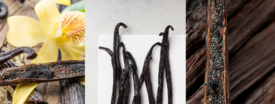 Madagascar Vanilla Bean vs. Vanilla Extract