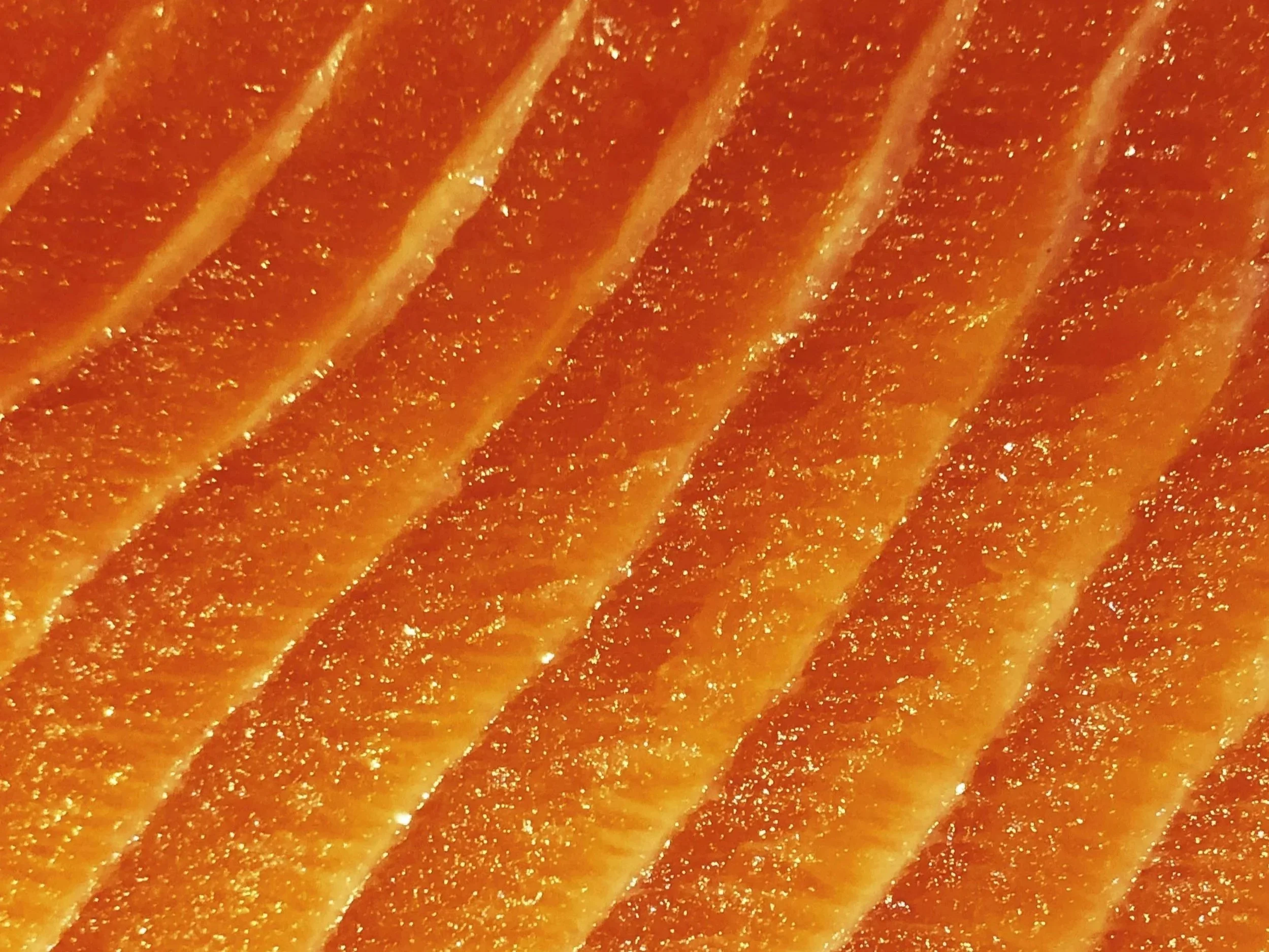 Omega-3s Across the Lifespan - A Lifelong Essential