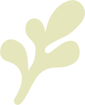A simple, stylized illustration of a greenish plant or leaf with multiple rounded segments.