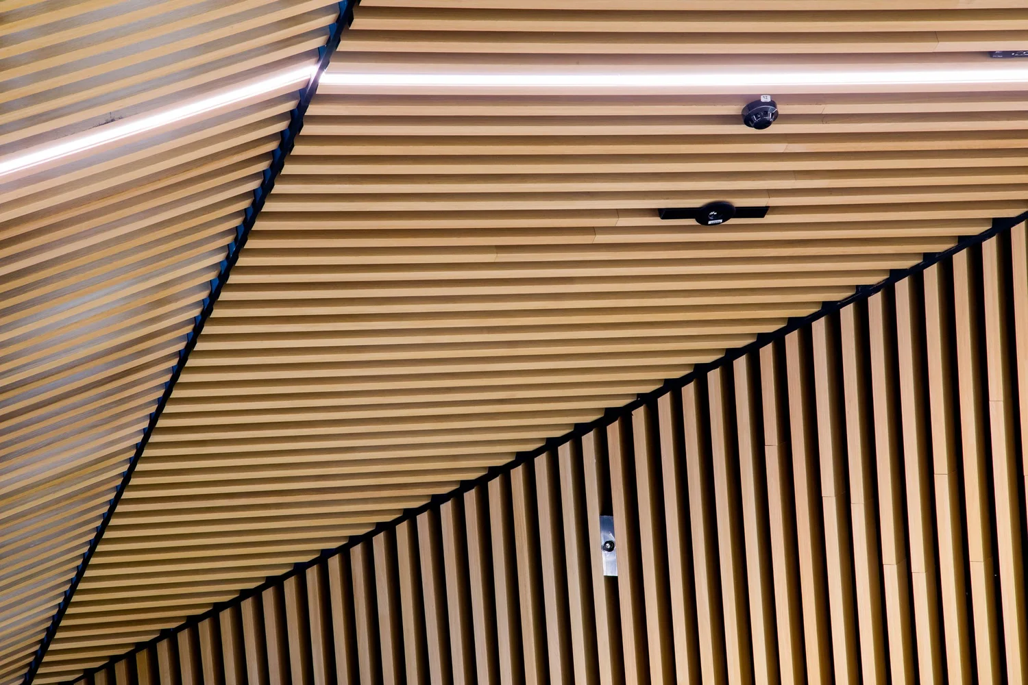 Passenger circulation area in the upgraded T1 bussing terminal