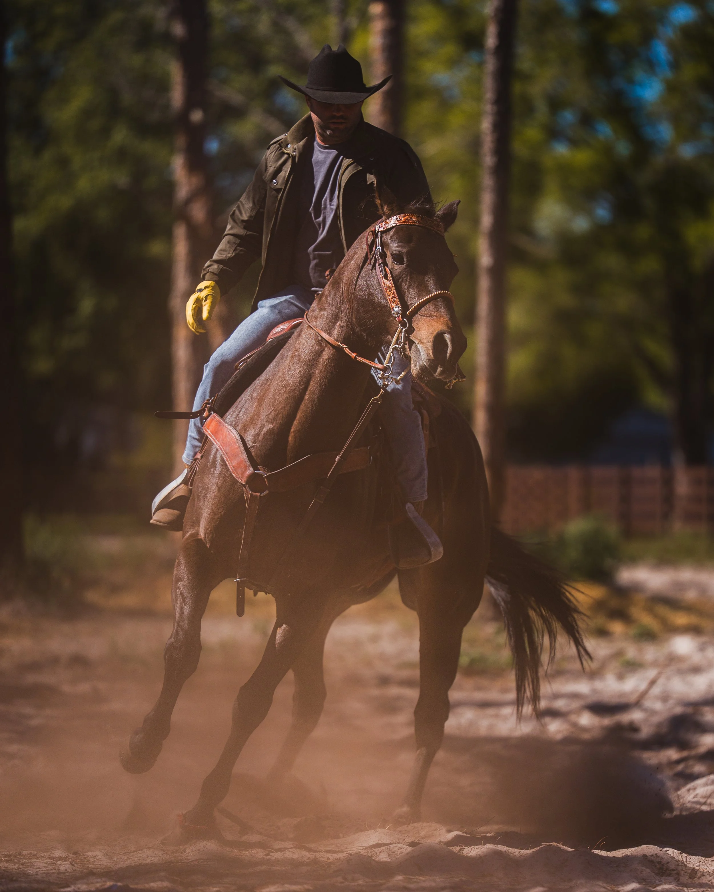 Caballero montando un caballo en un camino de tierra en un bosque Vaqueros Del Pantano.