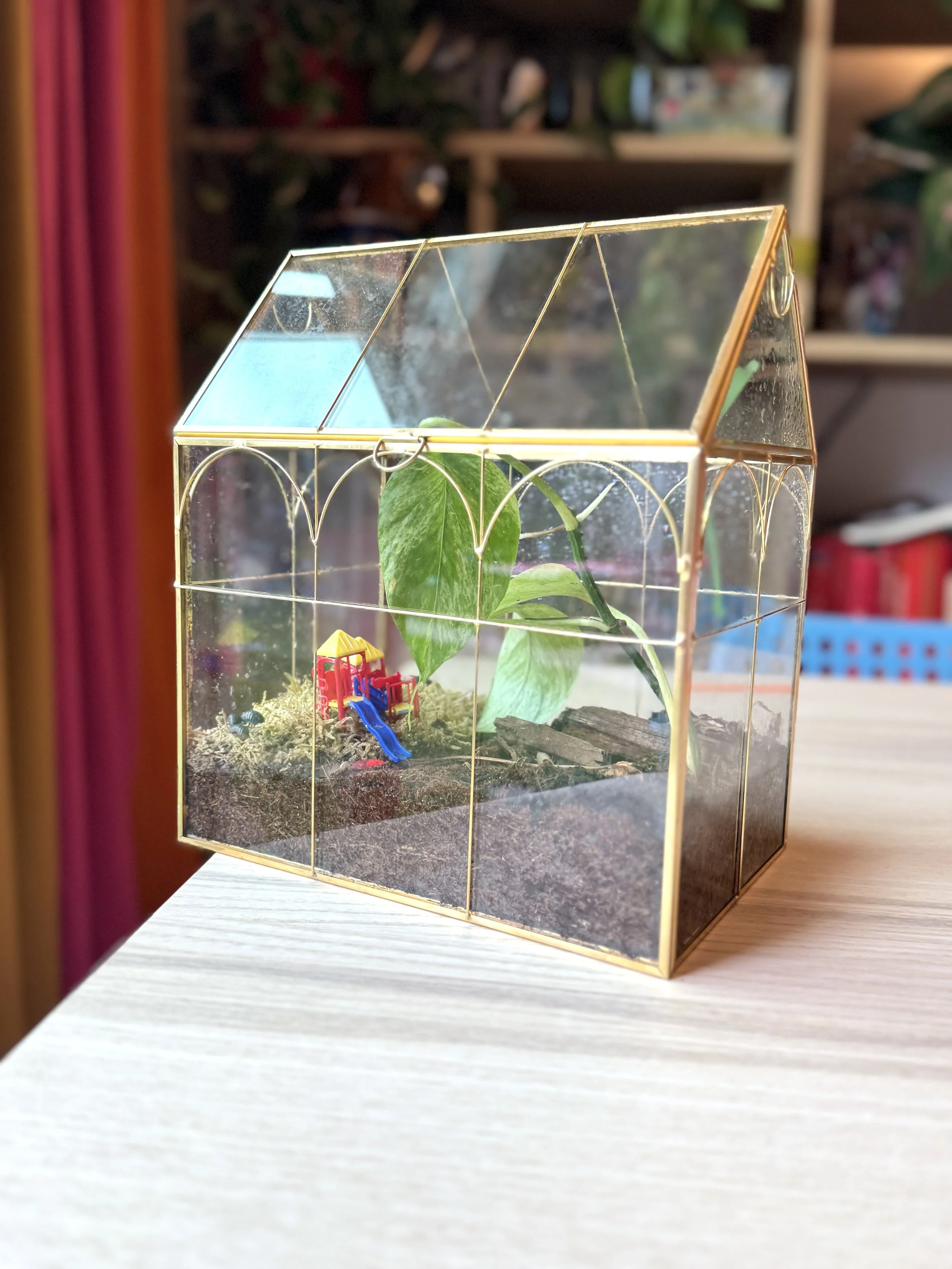 A small glass terrarium with a gold frame containing a green plant and miniature playground toy, placed on a light-colored surface.