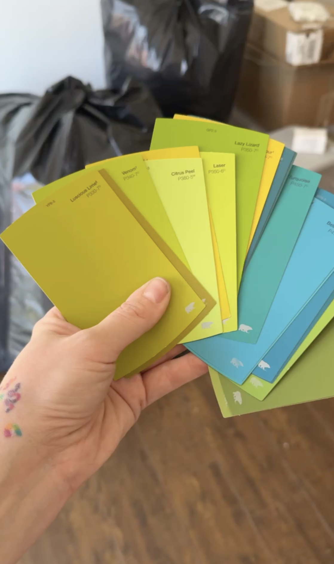Hand holding a fan of colorful plant care plant labels with various plant names in a storage room with boxes and bags in the background.