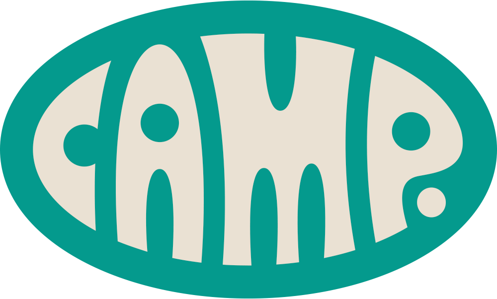 The original Play-Doh logo with the brand name in stylized, bold letters inside an oval shape.