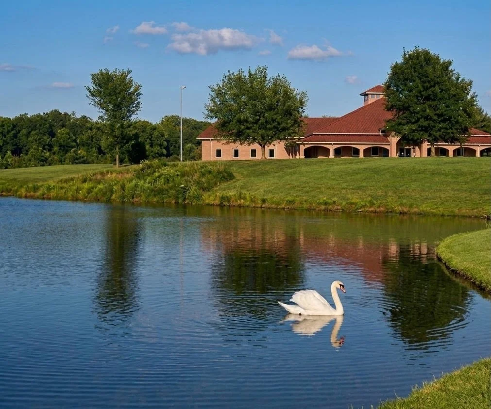 There&rsquo;s something about the warmer weather that feels like a much-needed reset. As the seasons change, it gives us all a chance to slow down and notice the beauty we usually rush past. 

It&rsquo;s so refreshing to see everything coming back to