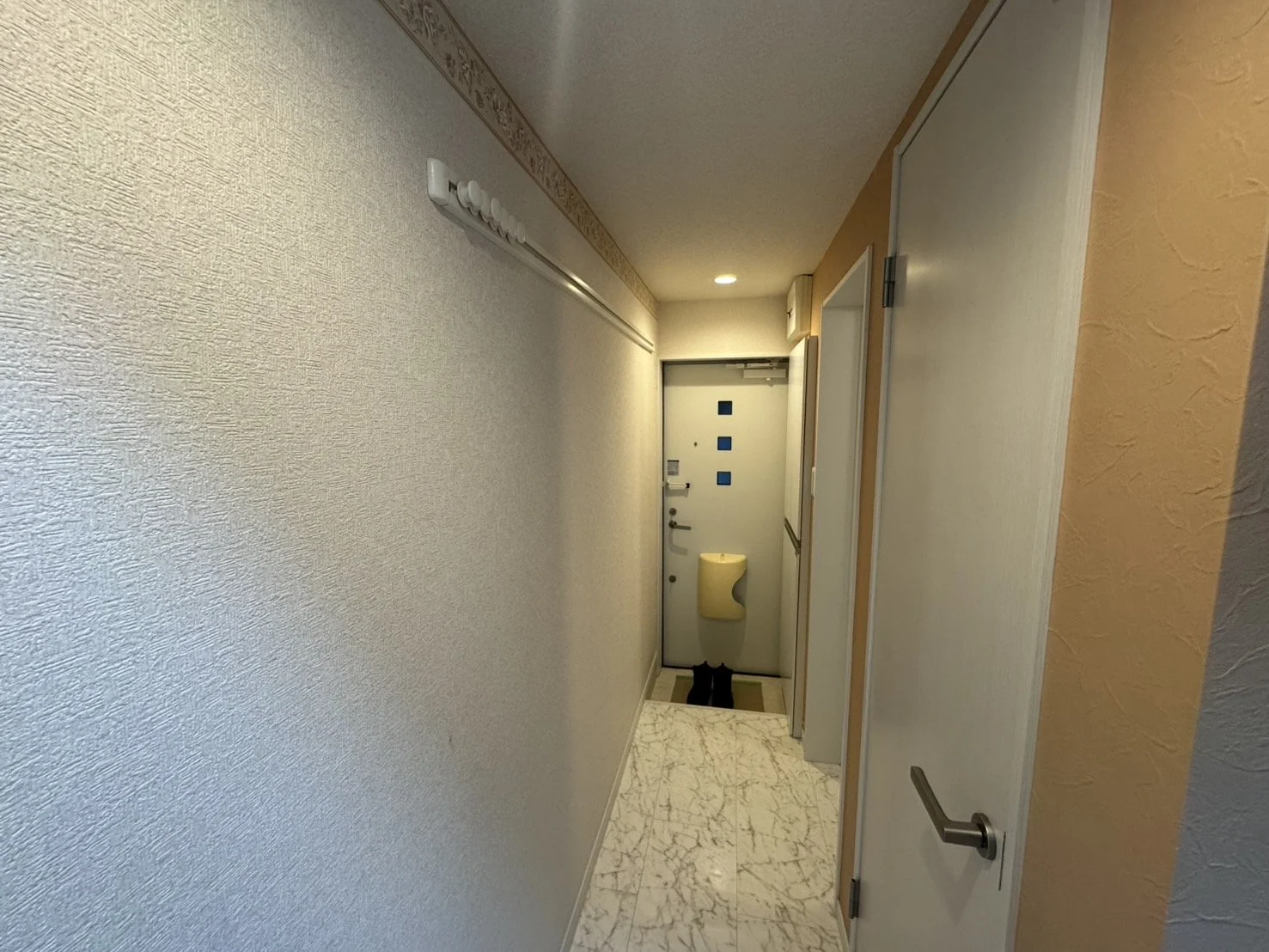 玄関ドアと靴の足元、壁と天井の間に装飾された幅広の壁紙、天井にライト照明とフックが付いている