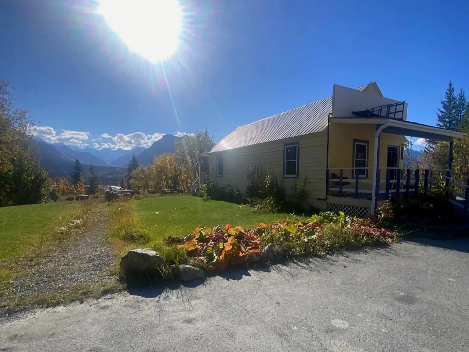 A yellow Coffeehouse with a metal roof and a porch, surrounded by a grassy yard with Alaskan plants and rocks, mountains and the Matanuska Glacier in the background, and the sun shining brightly in the clear blue sky.