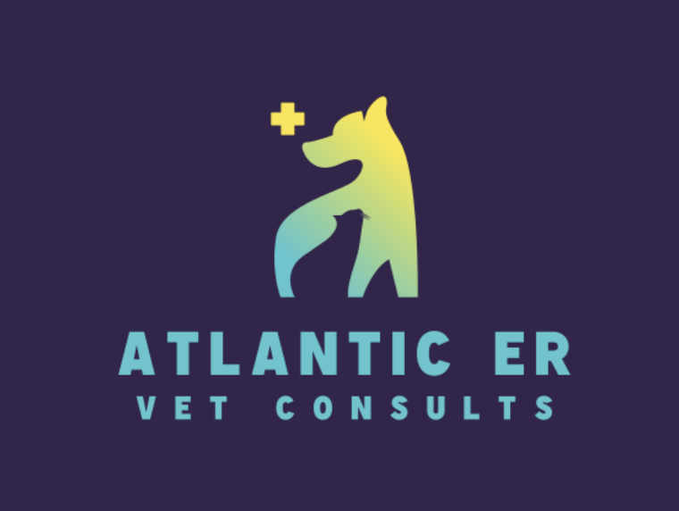 Atlantic ER Critical Care Vet Consults, LLC