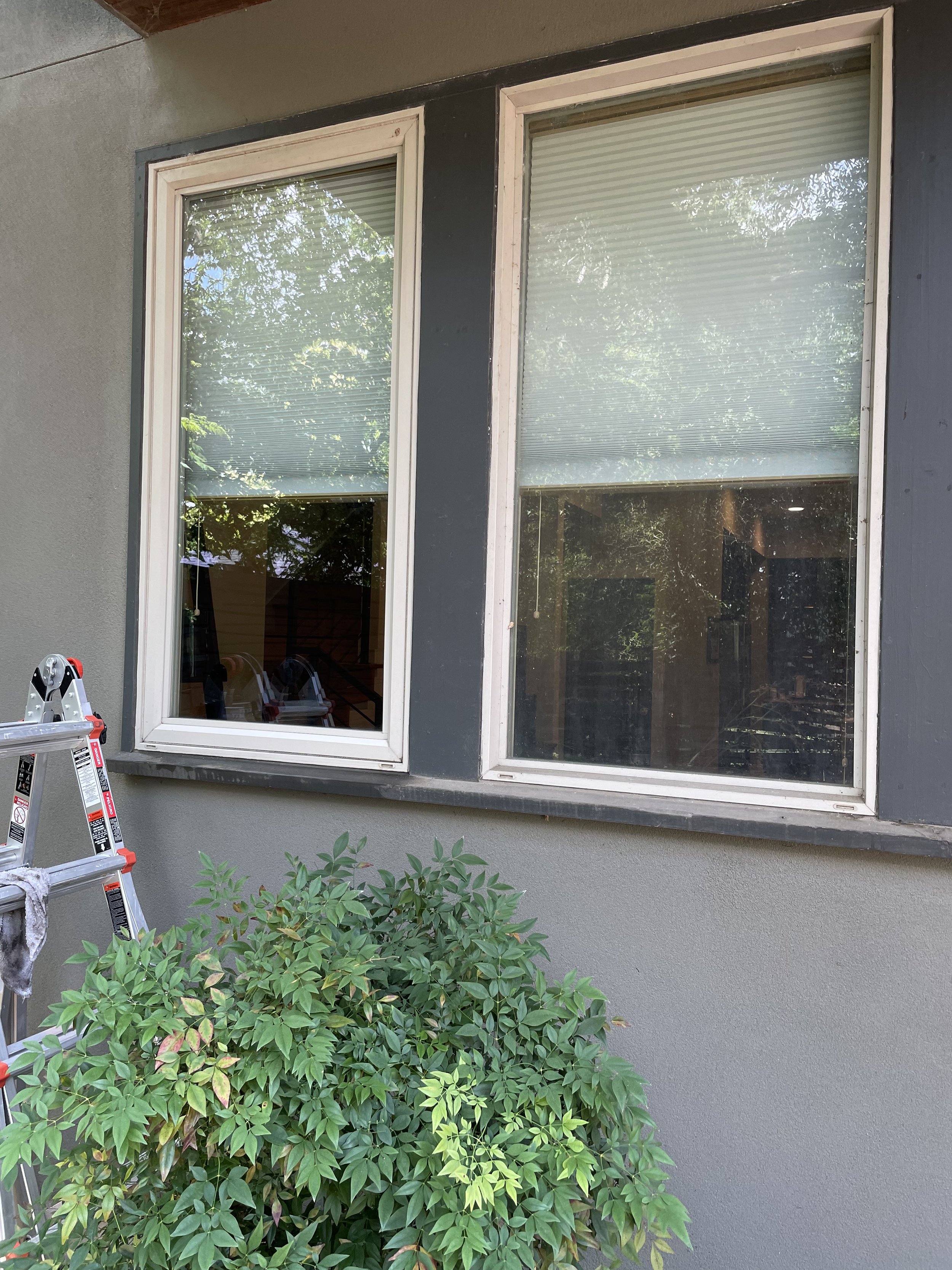 one cleaned and sparkling window next to an unclean window