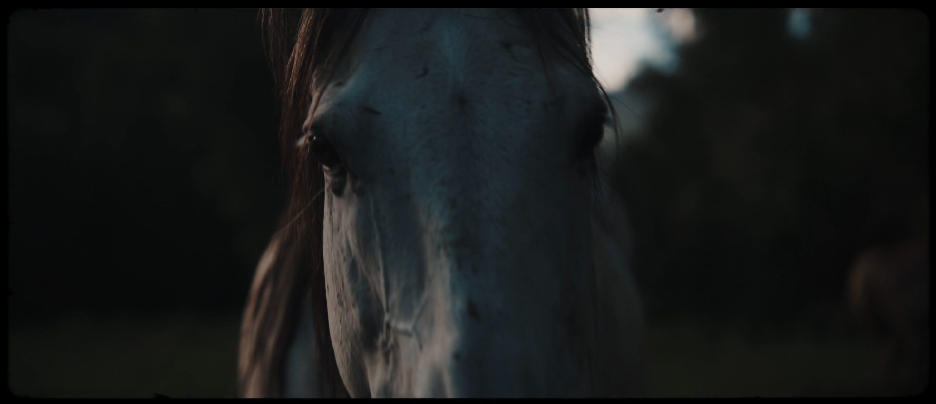 Screenshot 2026-02-09 at 6.29.41 PM.png