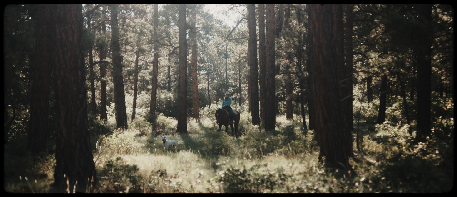 Screenshot 2026-02-09 at 6.28.27 PM.png