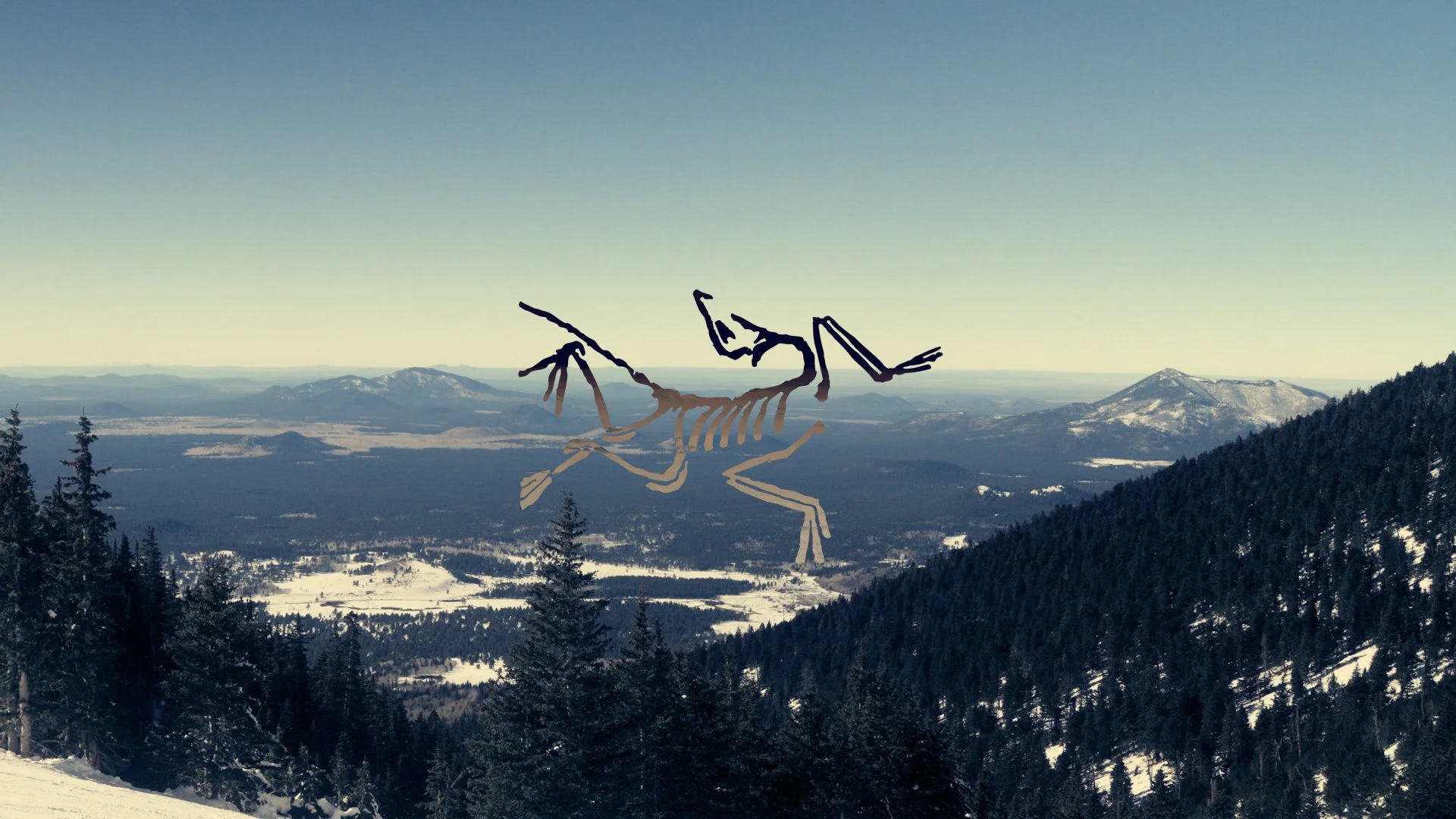 Snowboard edit_Horizontal_V.00_00_06_17.Still004.jpg