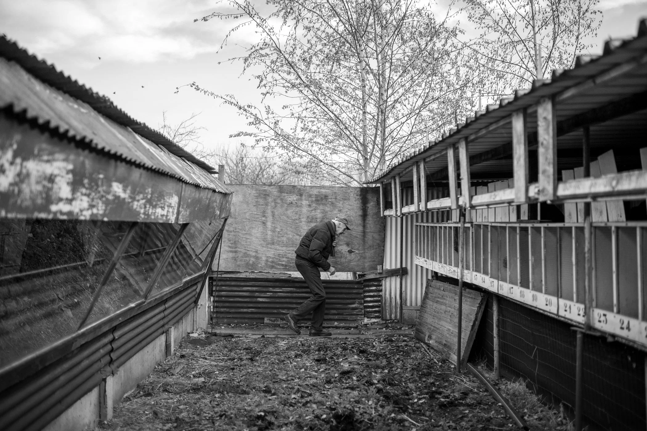 Een man in een donkere jas en hoed die binnen in een tuin met bouwmaterialen staat, omgeven door metalen en houten constructies, terwijl hij naar beneden buigt.