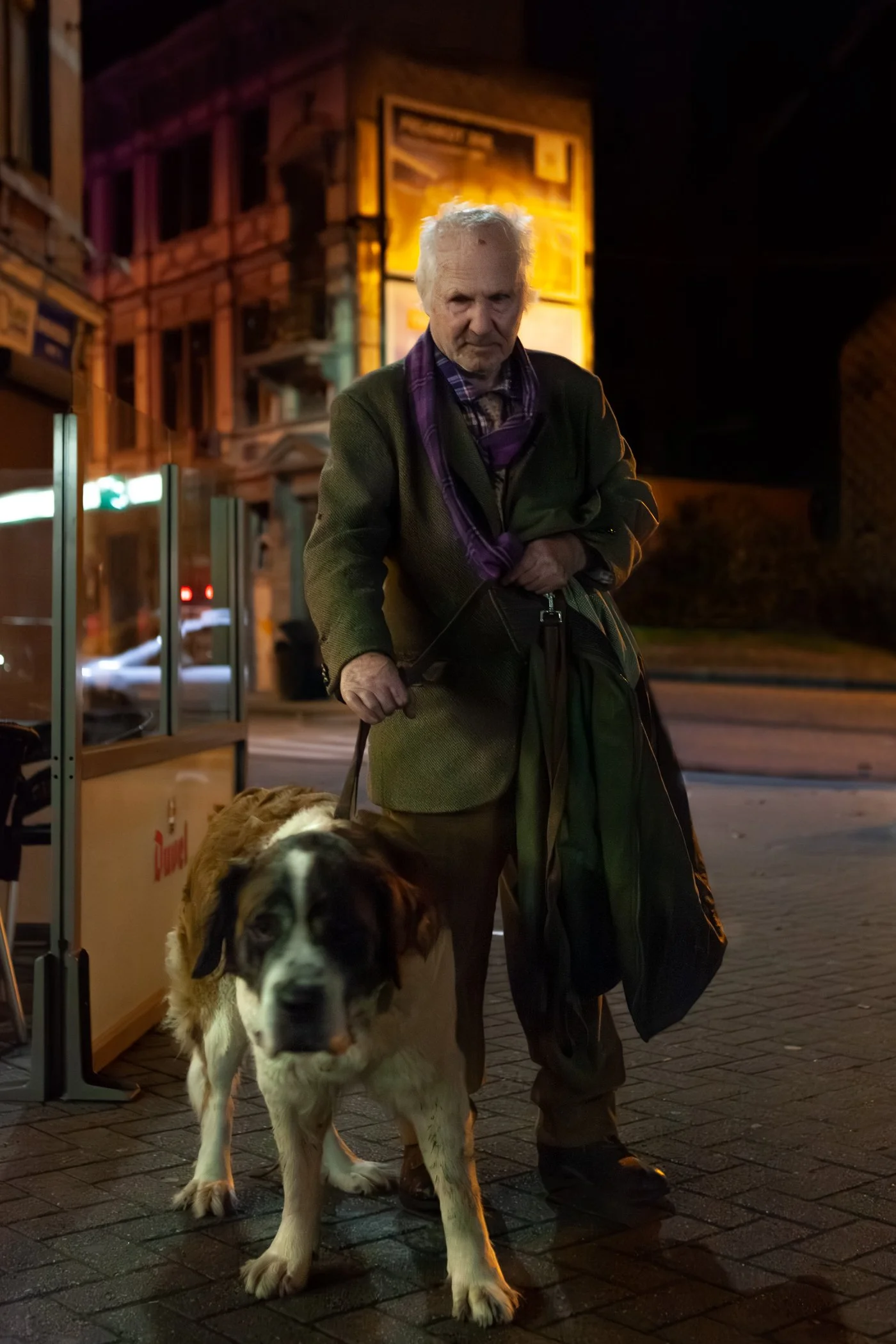 Een oudere man met een stok staat op een straat 's nachts met een grote hondenrassengel op een lijn. De man draagt een groene jas en een paarse sjaal.