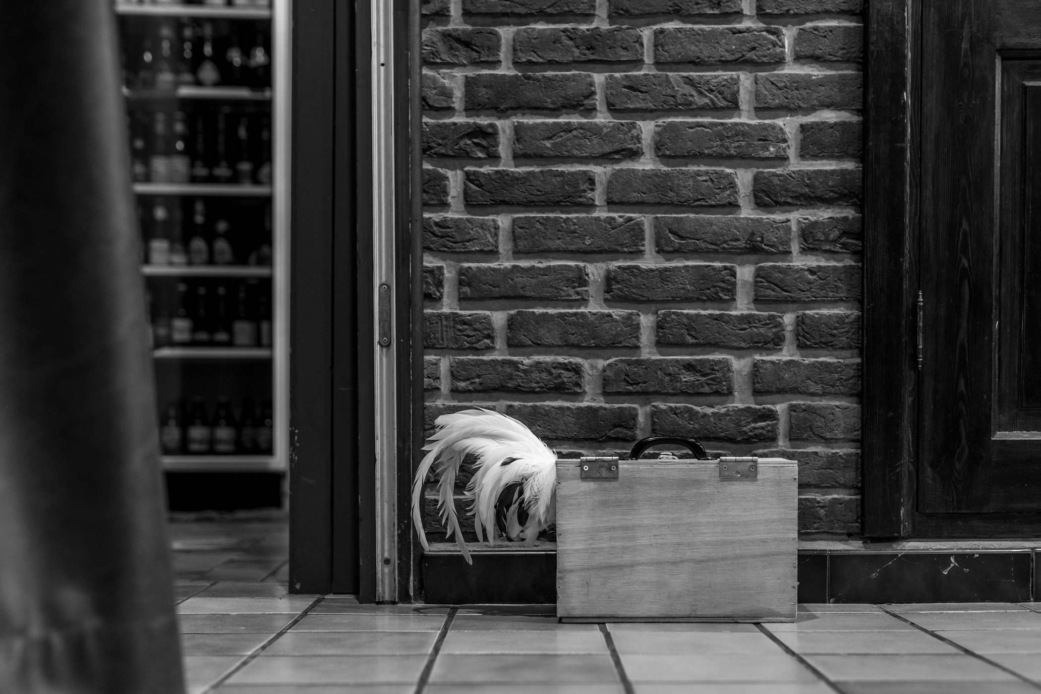 Een zwart-witte foto van een houten koffertje en een pluimstaart van een kip die uit een doos steken, geplaatst op een betegelde vloer voor een bakstenen muur en een houten deur.