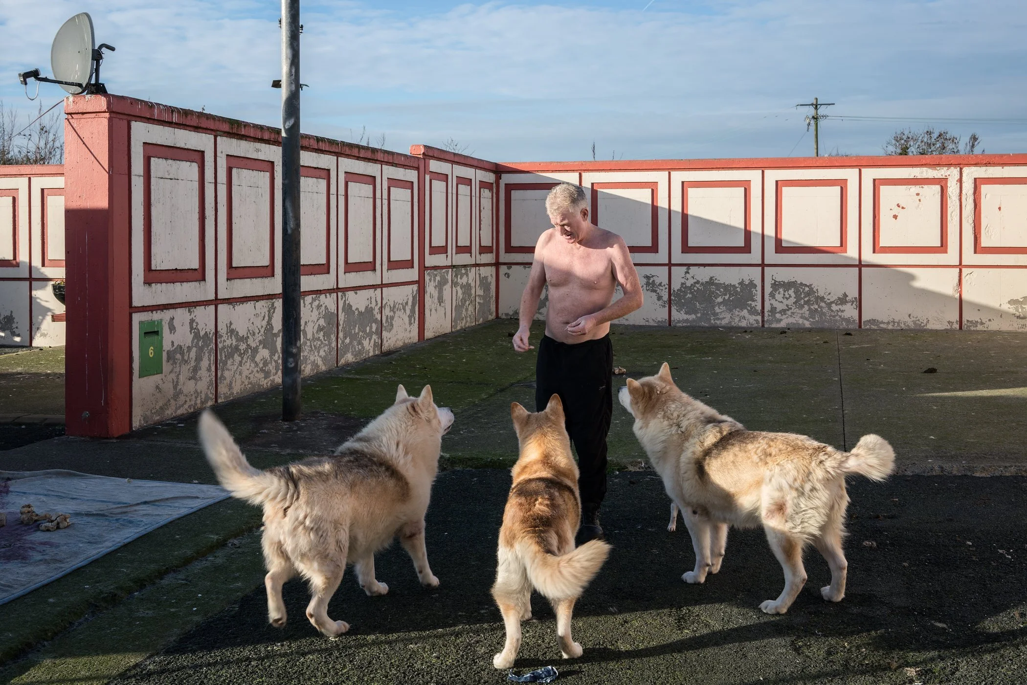 Een blote man die in een binnenplaats staat samen met vier honden, midden op de dag.