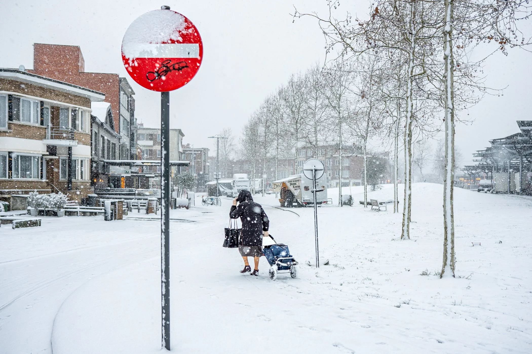 Een persoon met een kinderwagen wandelt in een besneeuwd stadspark tijdens sneeuwval, met beboste en afgelegen gebouwen op de achtergrond.