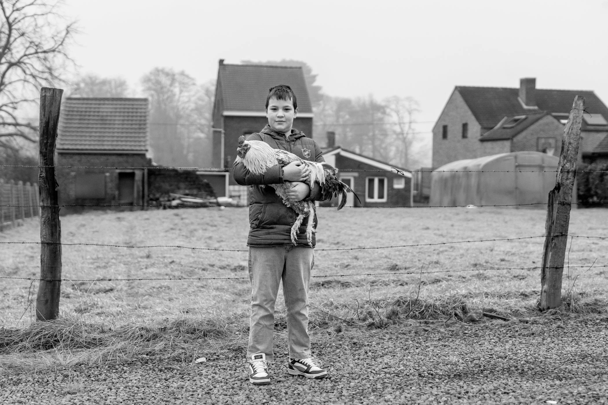 Een jonge jongen staat buiten op een grasveld, houdt een grote haan in zijn armen, omgeven door een boerderijomgeving met schuren en huizen op de achtergrond.