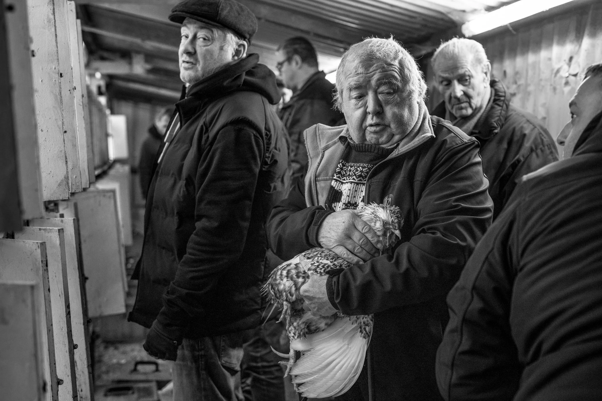 Groep mensen in een schuur of stal, met één man die een kip vasthoudt en anderen die naar hem kijken, zwart-wit foto.
