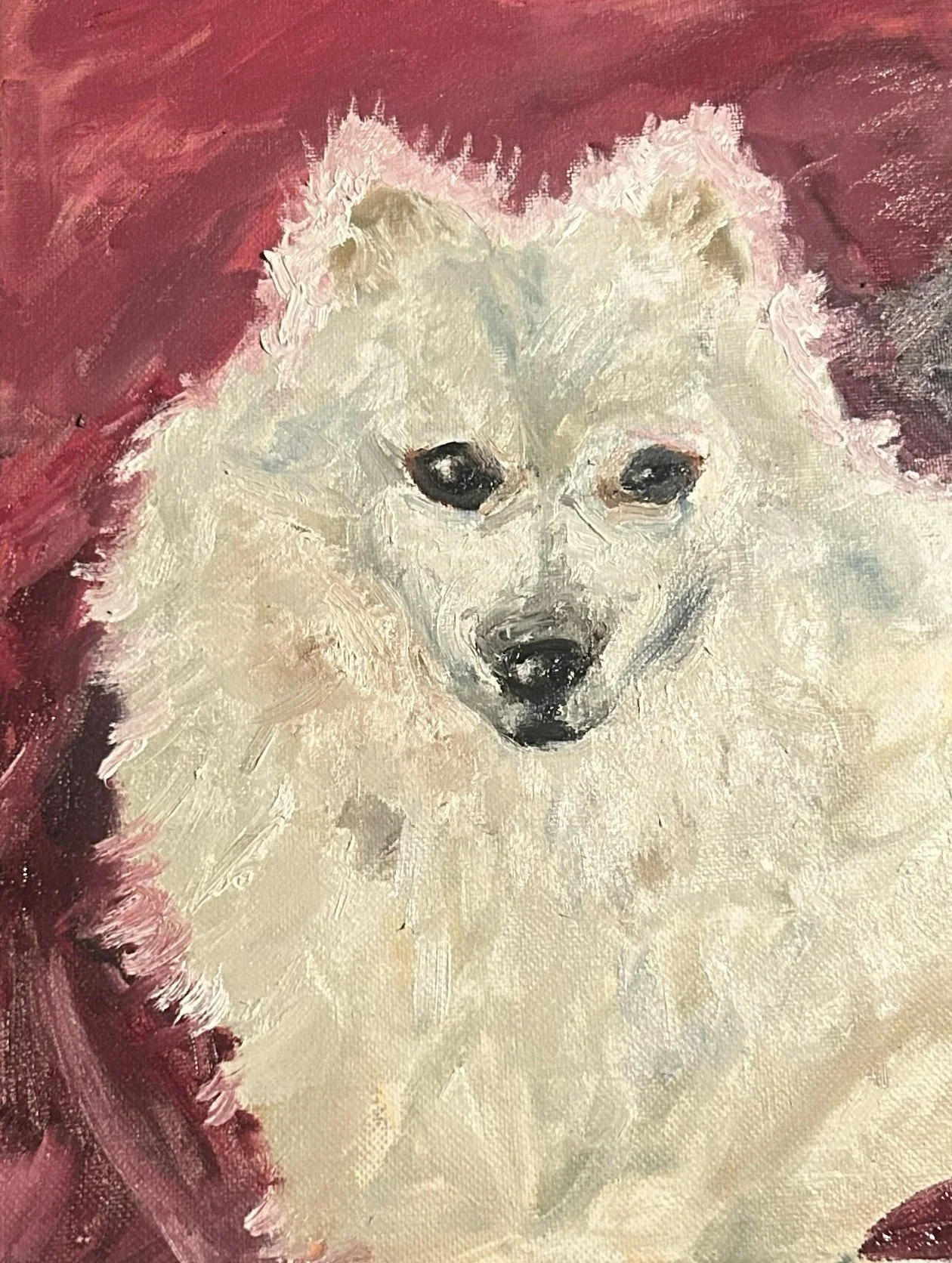 Sugar

15” x 12”
Oil on canvas