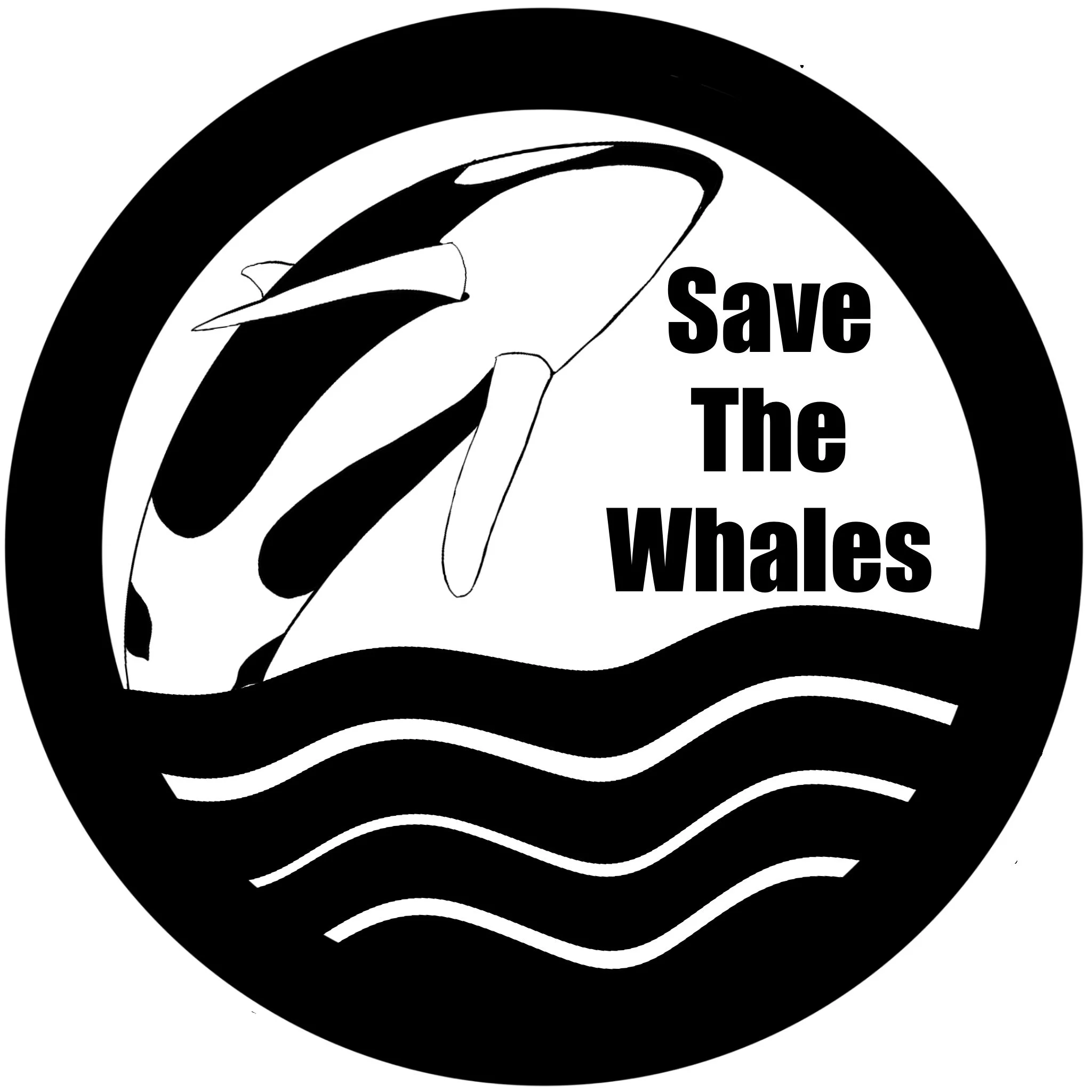 Untitled_Artwork 6.jpg