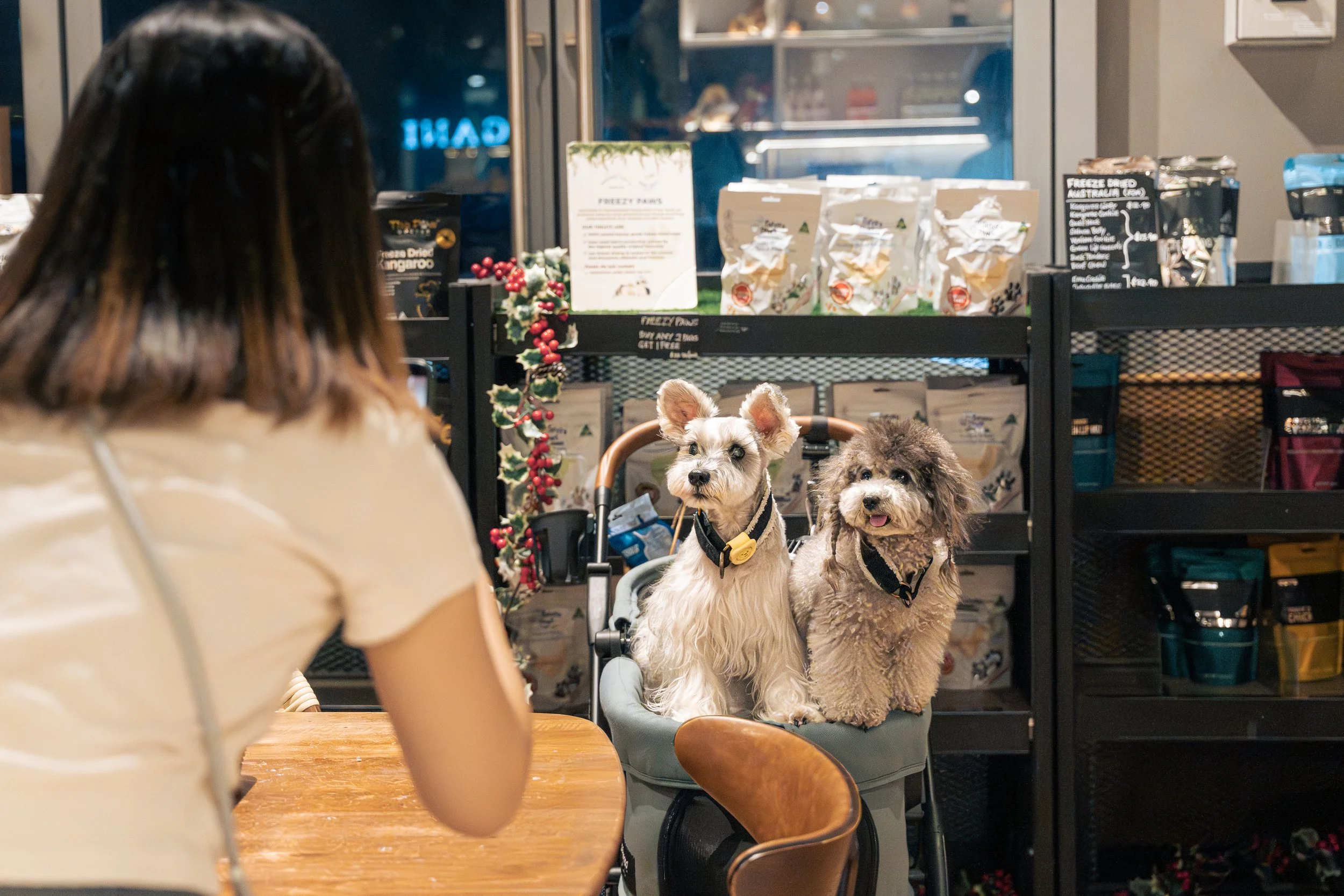 20260409-THEPAWMER'SMARKET-01.jpg