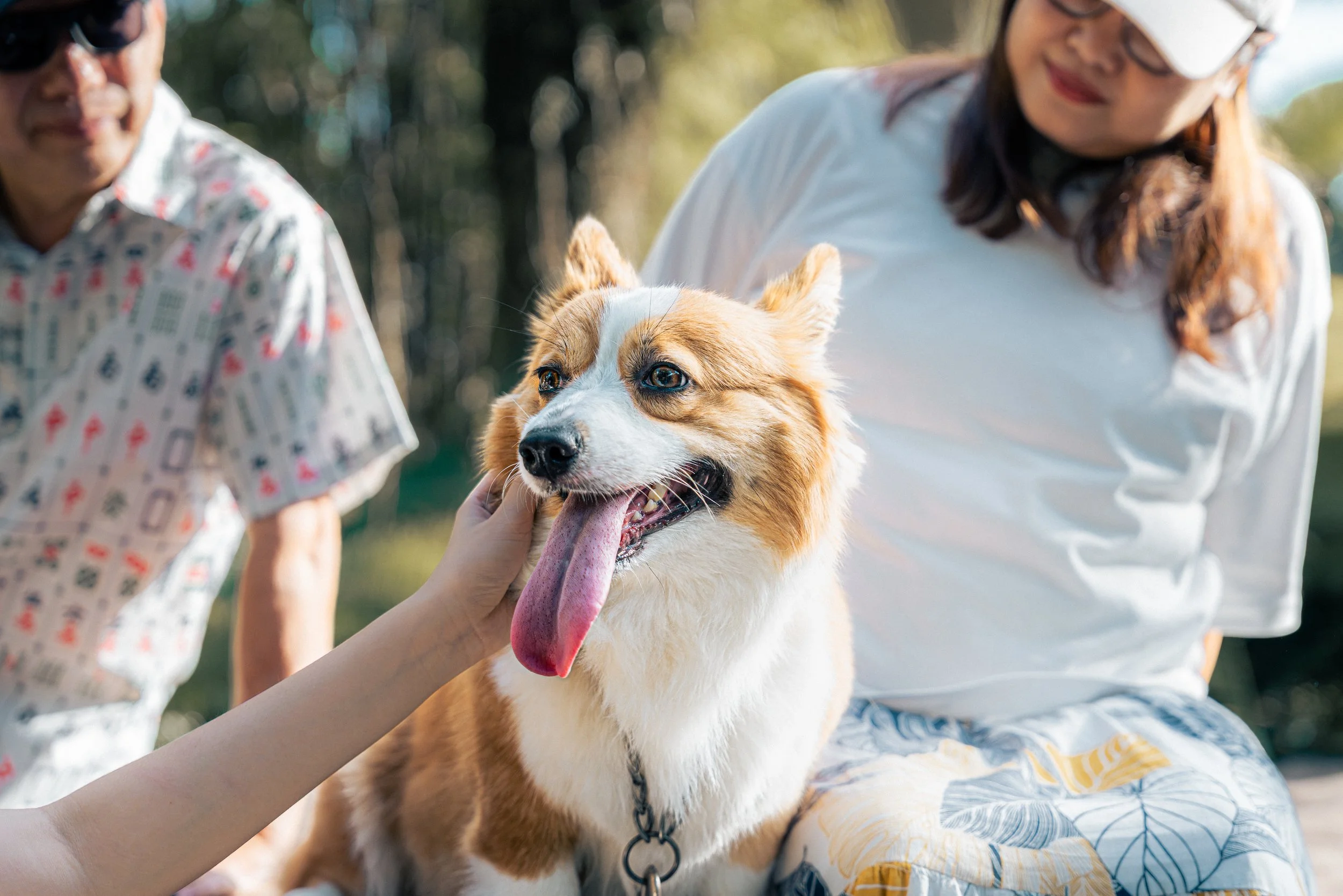 20260201- Didi, Wawa & Ellie-020.jpg