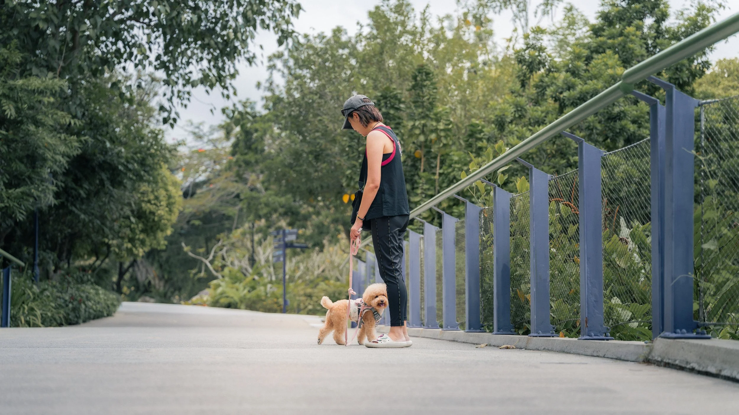 20260125 -Jingle -05.jpg