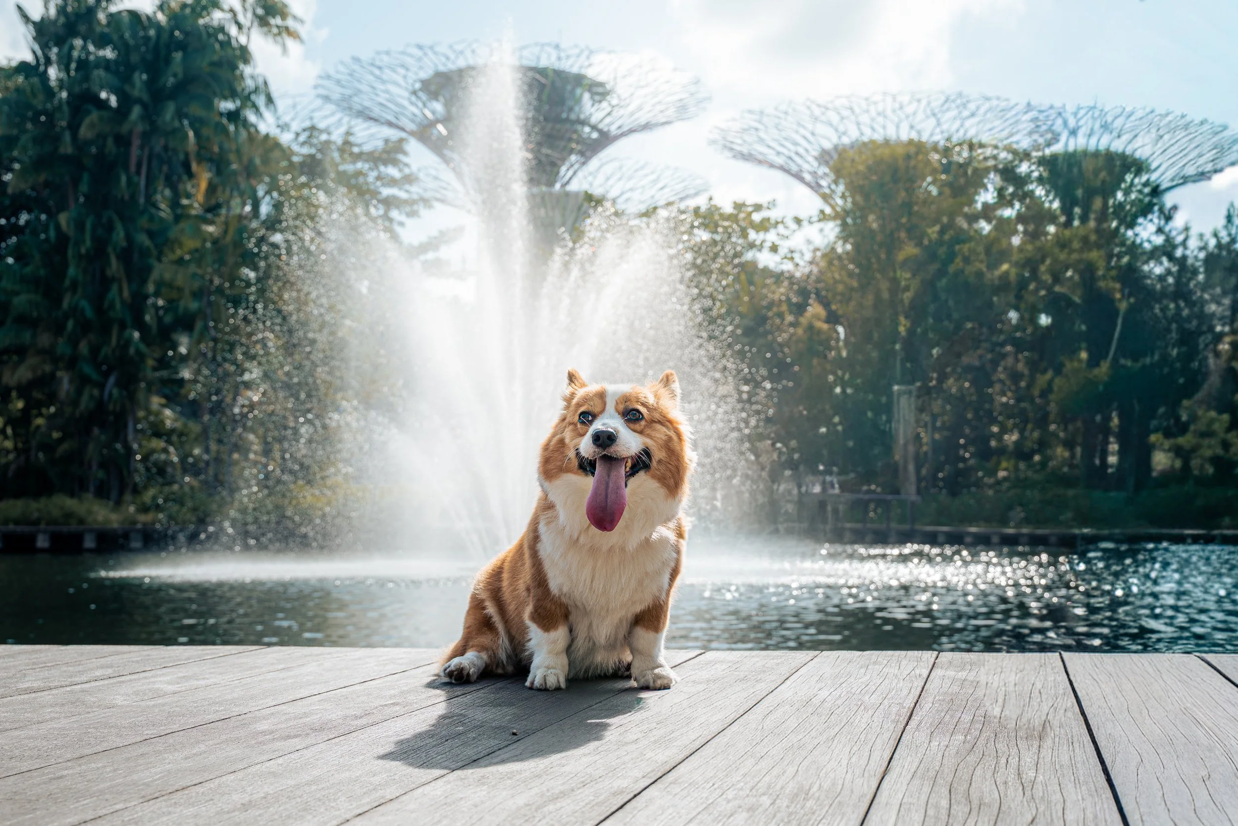 20260201- Didi, Wawa & Ellie-029.jpg