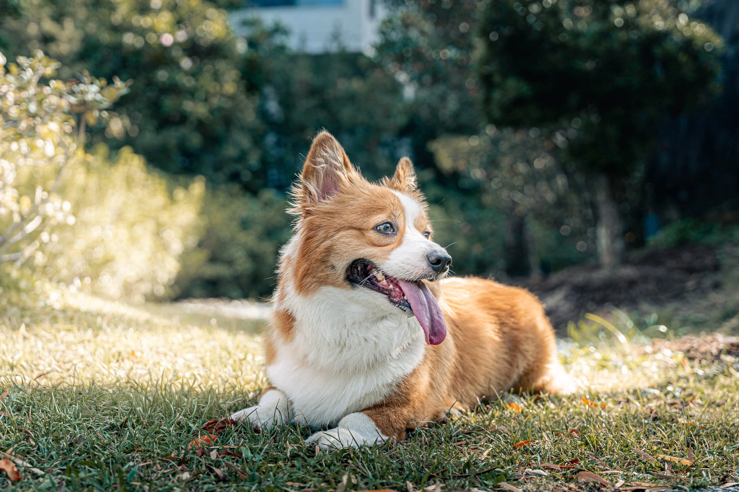 20260201- Didi, Wawa & Ellie-021.jpg