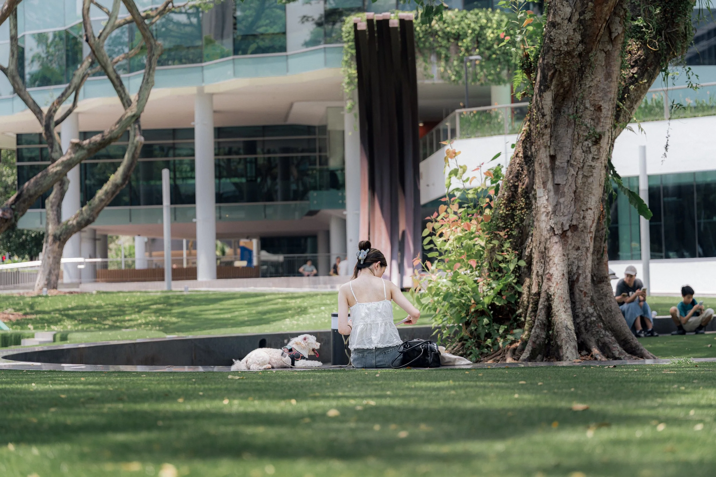 SMU PAW ANIMAL DAY 2026-09.jpg